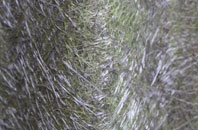 Rosebank fibreglass roof work